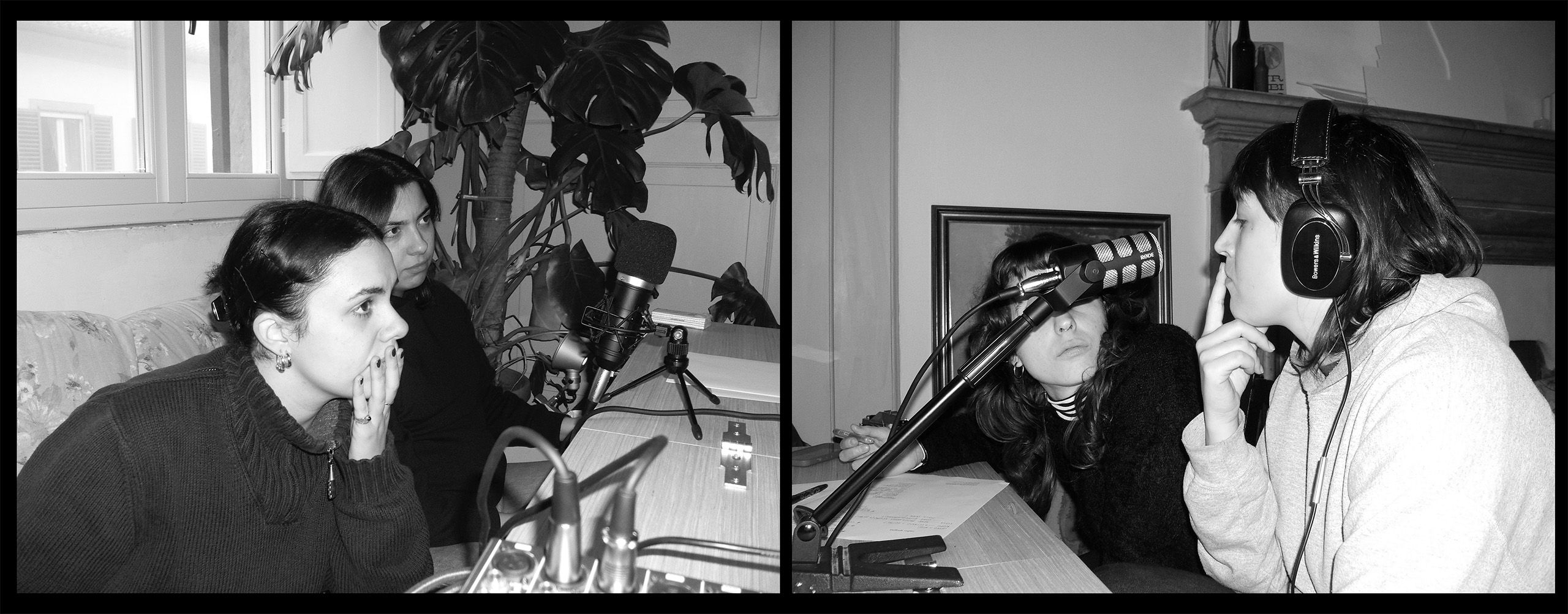 radio spugna